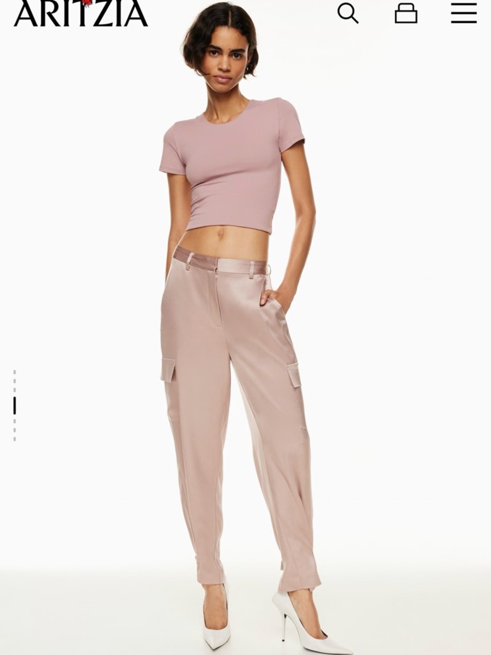 Aritzia Babaton Refined Satin Cargo Pant